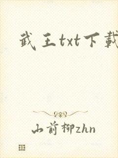 武王txt下载