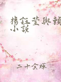 杨钰莹与赖昌星小说