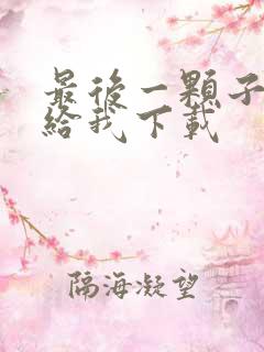 最后一颗子弹留给我下载