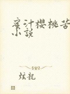 蜜汁樱桃苦咖啡小说