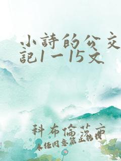 小诗的公交车日记1一15文