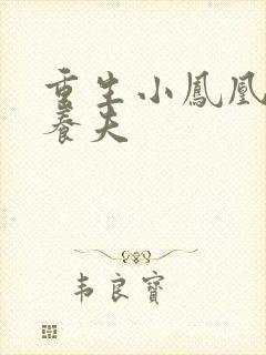 重生小凤凰的童养夫