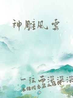 神雕风云