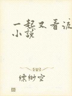 一起又看流星雨小说