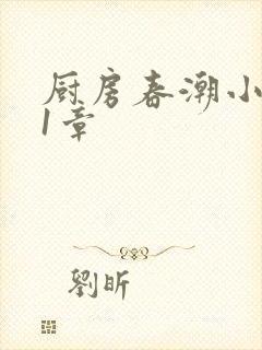 厨房春潮小说第1章