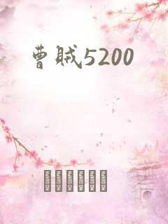曹贼5200