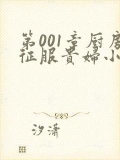 第001章厨房征服贵妇小说