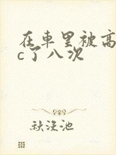 在车里被高潮被c了八次