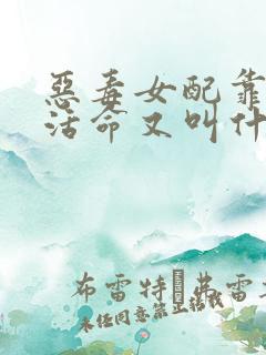恶毒女配靠JY活命又叫什么