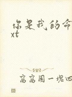 你是我的命运txt