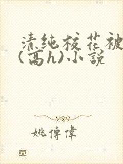 清纯校花被调教(高h)小说