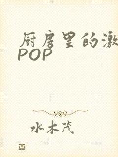 厨房里的激战2POP