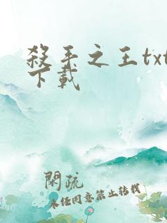 杀手之王txt下载