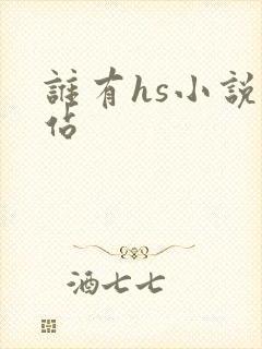 谁有hs小说网站