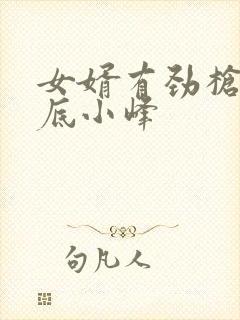 女婿有劲枪枪到底小峰