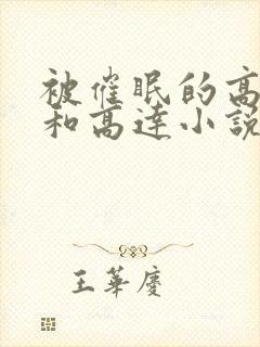 被催眠的高小柔和高达小说
