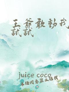 王爷敢动我妈咪试试