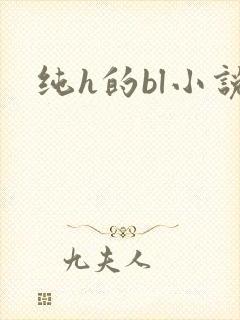 纯h的bl小说