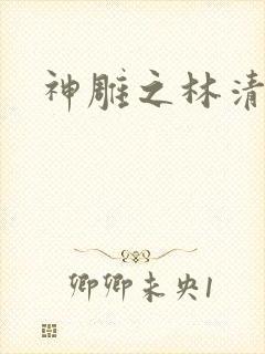 神雕之林清传