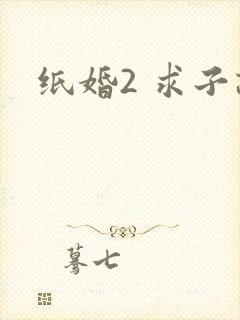 纸婚2 求子记