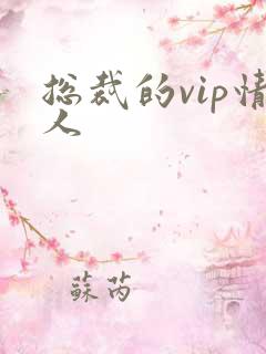 总裁的vip情人