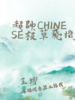 超帅CHINESE校草飞机BLUE