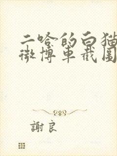 二哈的白猫师尊微博车截图