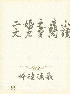 二婚之痒小说全文免费阅读