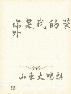 你是我的荣耀番外