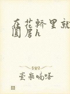 在花轿里就开始圆房h