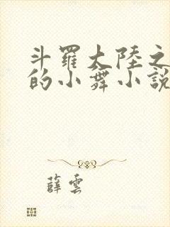 斗罗大陆之Y荡的小舞小说