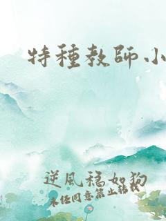 特种教师小说