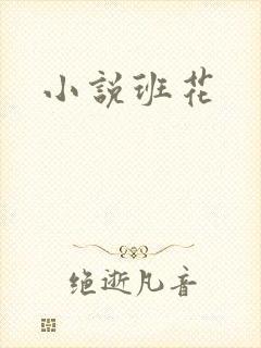 小说班花