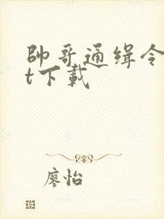 帅哥通缉令txt下载