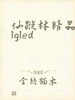 仙踪林精品zzlgled