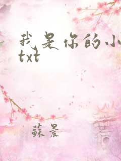 我是你的小小狗txt