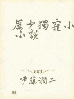 厉少独宠小娇妻 小说