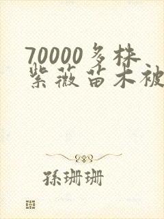 70000多株紫薇苗木被强毁