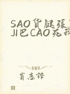 SAO货腿张开JI巴CAO死我