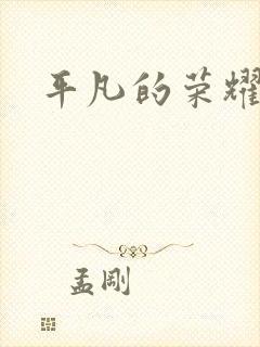 平凡的荣耀小说