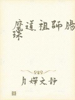 魔道祖师肠道串珠