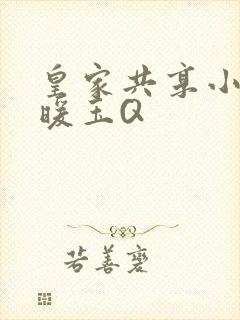 皇家共享小公主暖玉Q