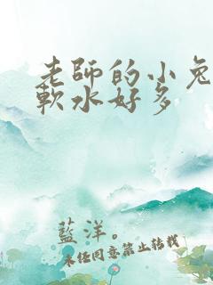 老师的小兔子好软水好多