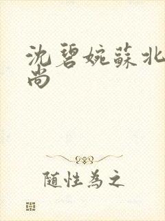 沈碧婉苏北宸和尚