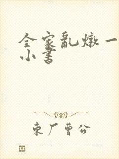 全家乱炖一锅烩小书