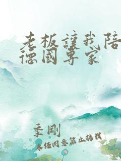 老板让我陪两个德国专家