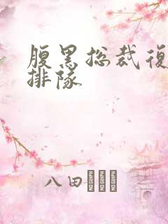 腹黑总裁复婚请排队