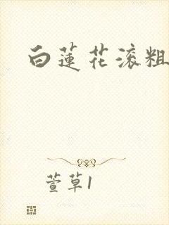 白莲花滚粗