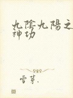 九阴九阳之阴阳神功