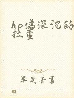 hp伪深沉的萨拉查